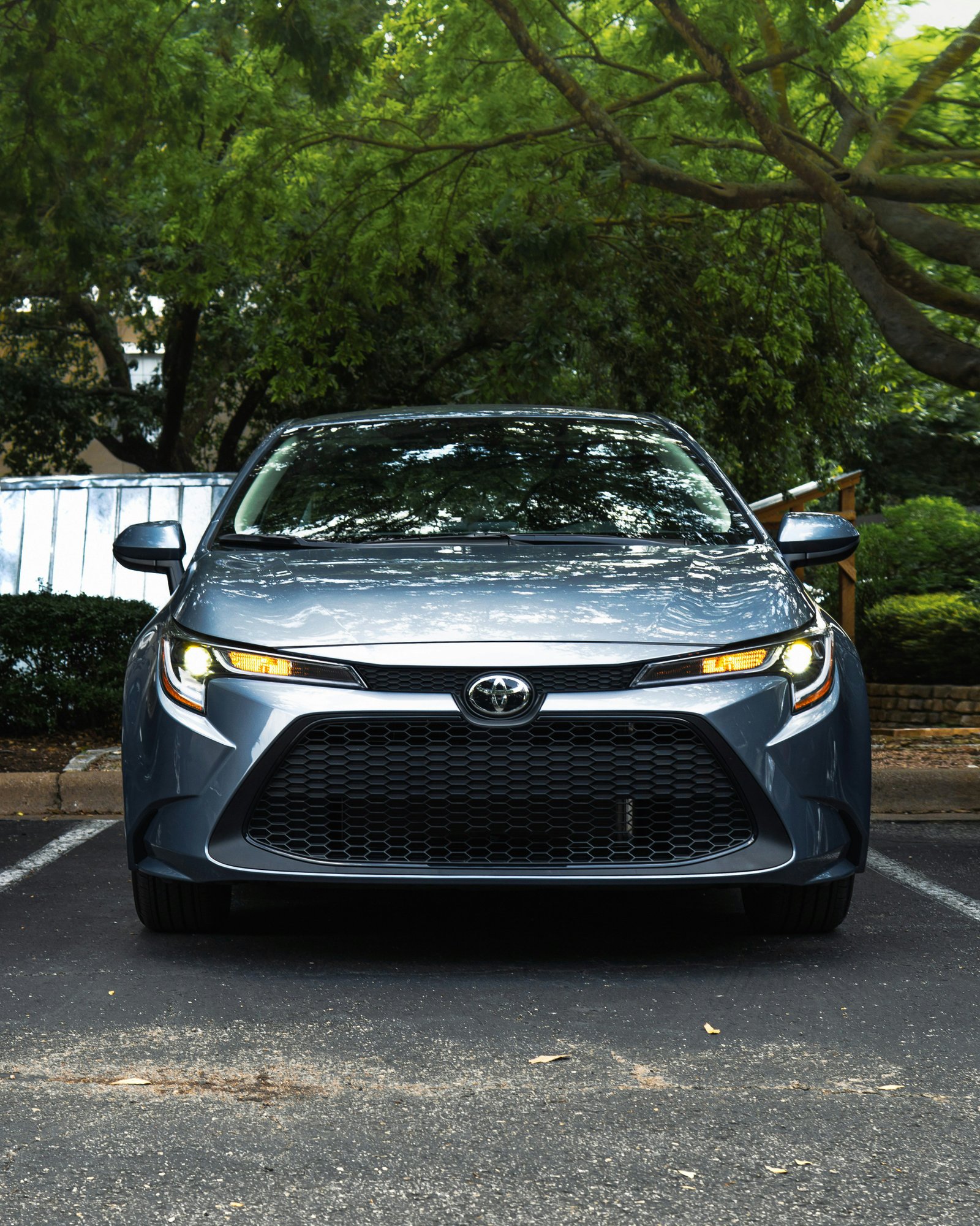 Economy rental category